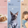 早上好猫小姐姐,猫小姐姐的温馨早晨